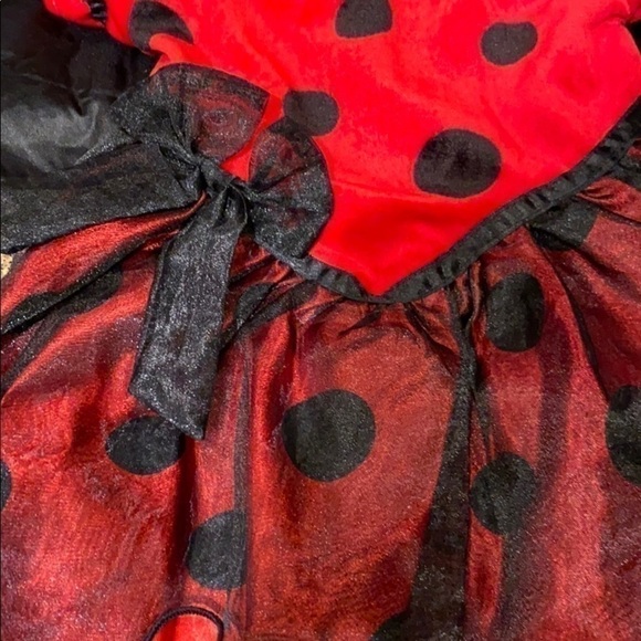 Lady bug custom - Picture 2 of 4